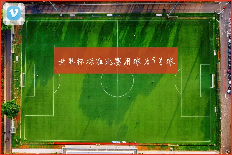 世界杯标准比赛用球为5号球