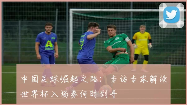 中国足球崛起之路：专访专家解读世界杯入场券何时到手
