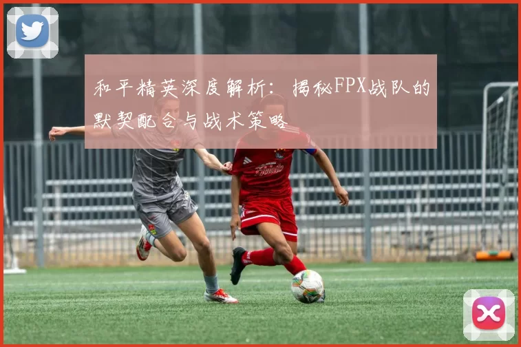 和平精英深度解析：揭秘FPX战队的默契配合与战术策略