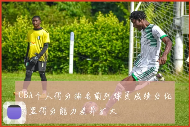 CBA个人得分排名前列球员成绩分化明显得分能力差异扩大