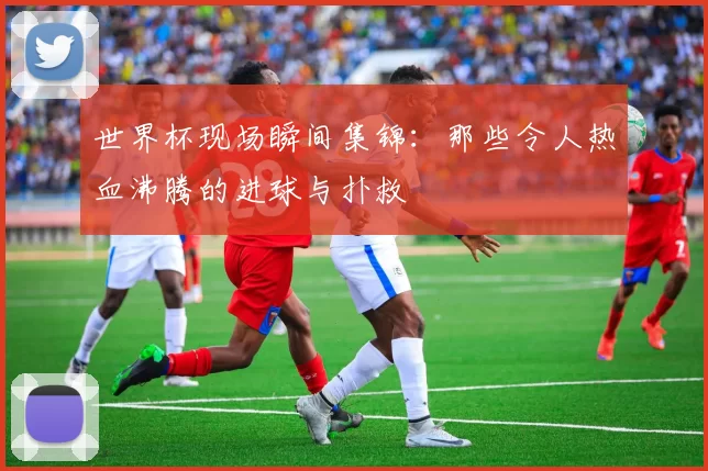 世界杯现场瞬间集锦：那些令人热血沸腾的进球与扑救
