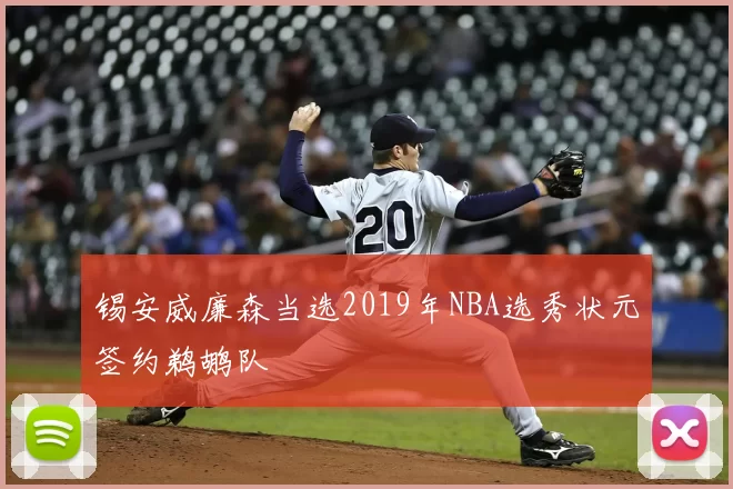 锡安威廉森当选2019年NBA选秀状元签约鹈鹕队