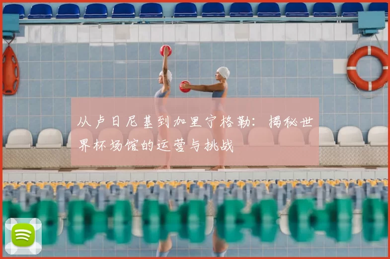 从卢日尼基到加里宁格勒：揭秘世界杯场馆的运营与挑战