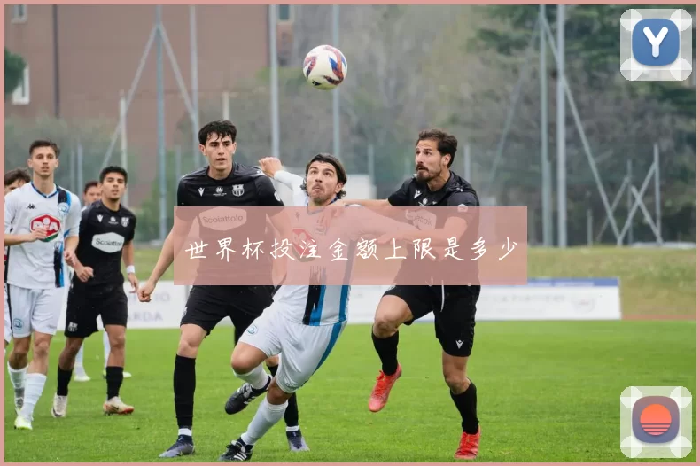 世界杯投注金额上限是多少