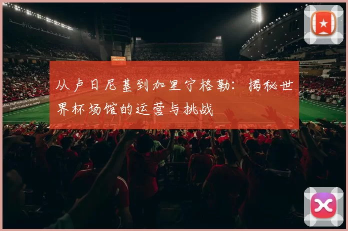 从卢日尼基到加里宁格勒：揭秘世界杯场馆的运营与挑战