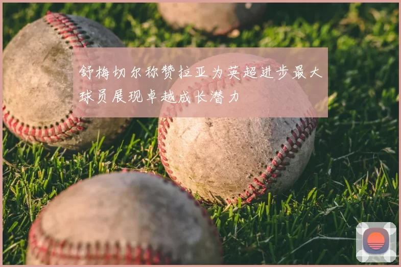 舒梅切尔称赞拉亚为英超进步最大球员展现卓越成长潜力