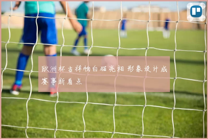 欧洲杯吉祥物白猫亮相 形象设计成赛事新看点