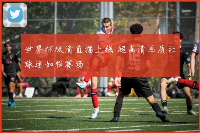 世界杯极清直播上线 超高清画质让球迷如临赛场