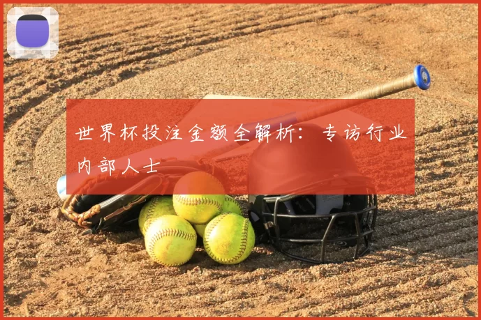 世界杯投注金额全解析：专访行业内部人士