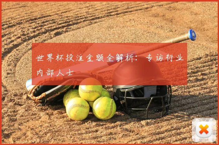 世界杯投注金额全解析：专访行业内部人士