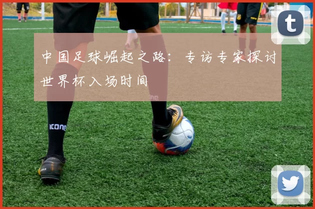 中国足球崛起之路：专访专家探讨世界杯入场时间
