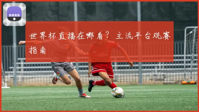 世界杯直播在哪看?主流平台观赛指南