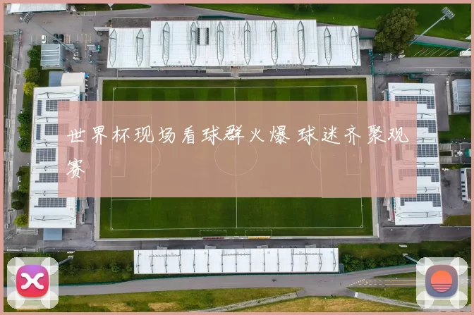 世界杯现场看球群火爆 球迷齐聚观赛