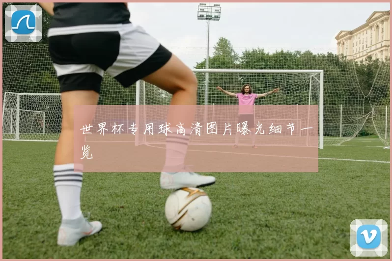 世界杯专用球高清图片曝光细节一览