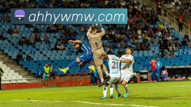 多媒体互动体验