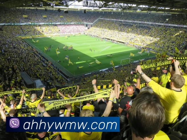 华体网页版APP 体育赛事宣传图